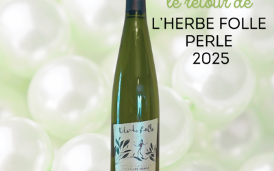 L’HERBE FOLLE Perlé 2025 : fraîcheur et élégance au rendez-vous